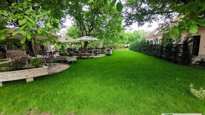 Poze inainte si dupa interventia noastra