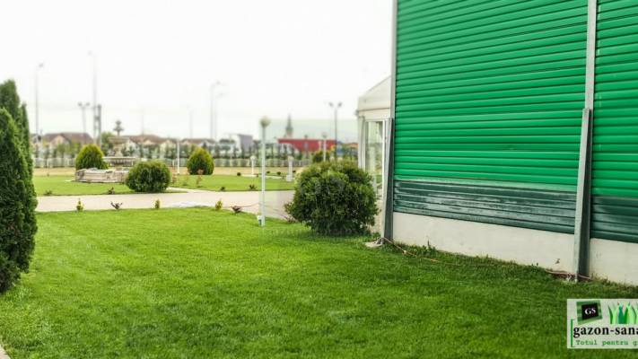 Poze inainte si dupa interventia noastra