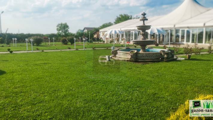 Poze inainte si dupa interventia noastra