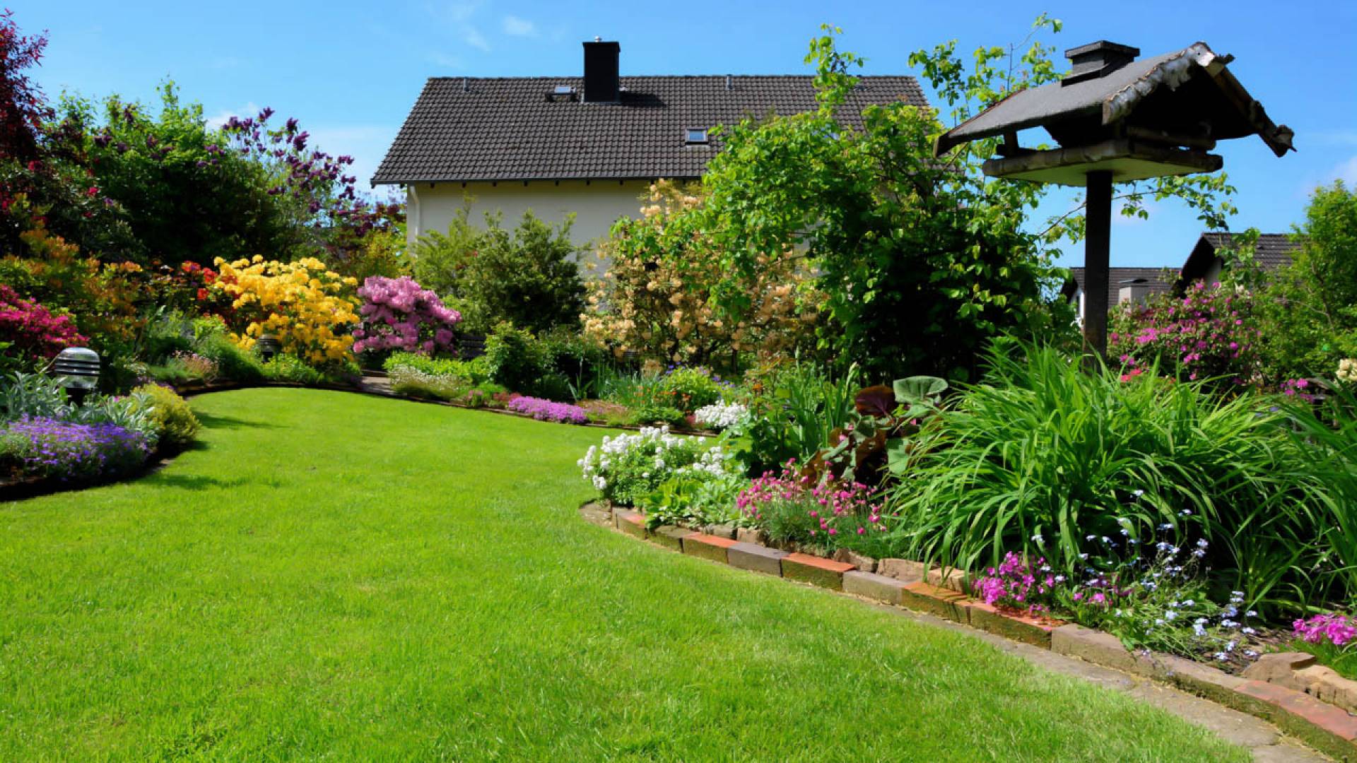 Servicii Complete Spatii Verzi - ARAD