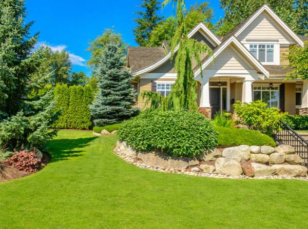 ⭐Întreținere spații verzi Arad 