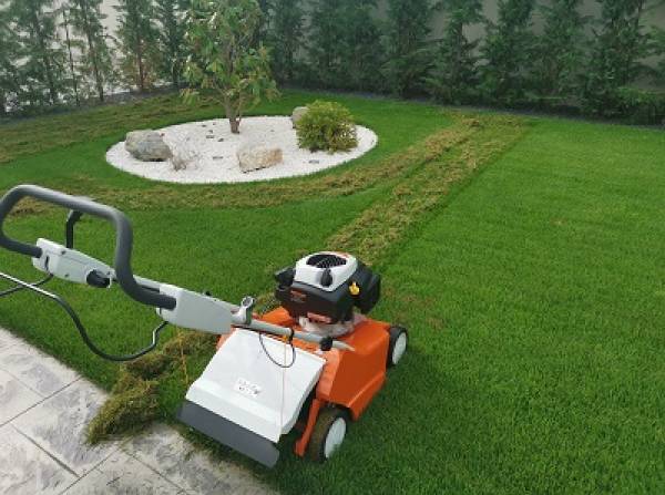 ⭐ Scarificare Gazon Arad si Timișoara