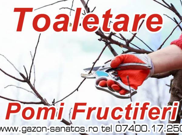 Servicii Toaletari pomi fructiferi în județul Arad și împrejurimi