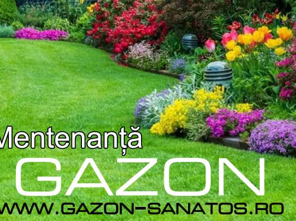 Gradinar Amenajari gradini si spatii verzi Arad