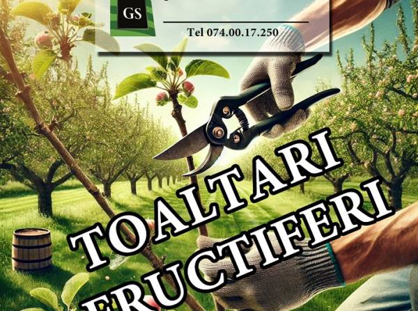 Toaletare pomi fructiferi in ARAD,