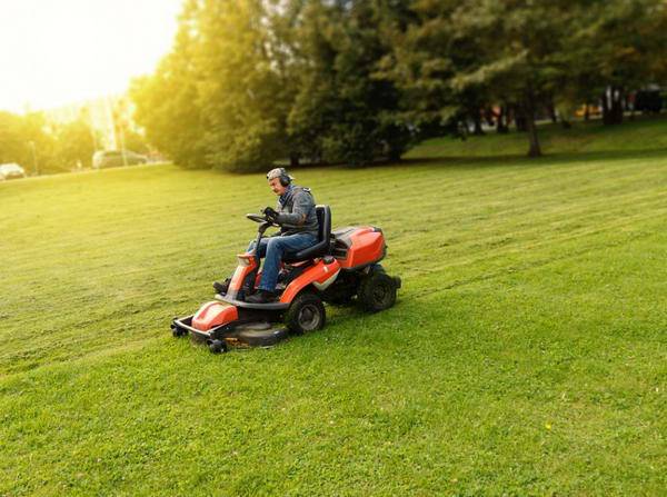 ⭐FIRMA GS - Asigurăm mentananță completă a spațiilor verzi din Arad