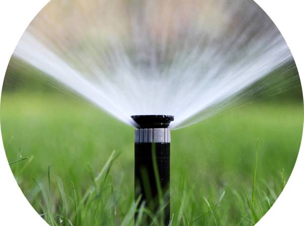 ⭐Irigatii automatizate gazon Arad