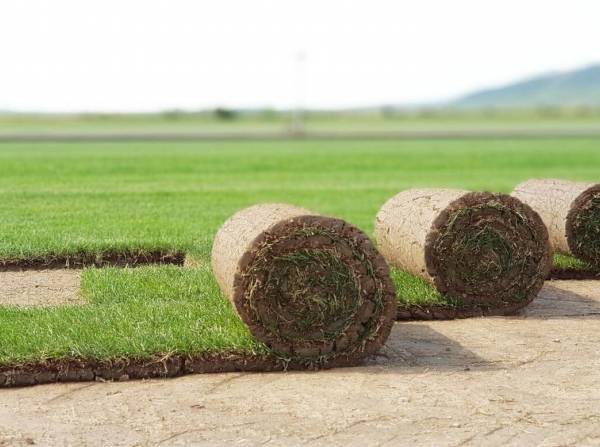 ⭐Montaj și vanzari Rulou Gazon Arad si Timisoara